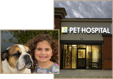 The Pet Hospital of Madison