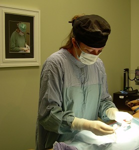 The Pet Hospital of Madison