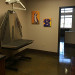 Dog Exam Room 1