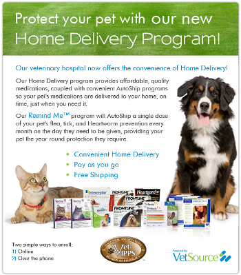 Huntsville AL Area Veterinarian | The Pet Hospital of ...